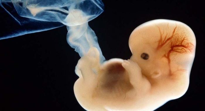 Кош бойлуу аял орозо кармайбы?